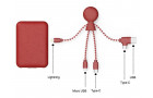 Портативное зарядное устройство BioPack c кабелем Mr. Bio, 5000 mAh, красный