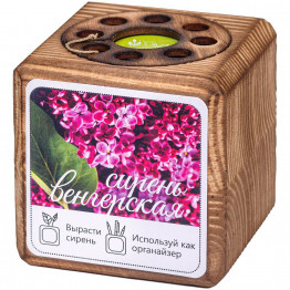 Набор для выращивания с органайзером «Экокуб Burn», сирень