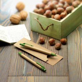 Набор: ручка и карандаш