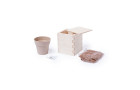 Горшочек для выращивания мяты с семенами (6-8шт) в коробке MERIN, биоразлагаемый материал, дерево, г
