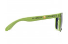 Солнцезащитные из пшеничной соломы очки Rongo, зеленый