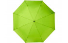 23-дюймовый автоматический зонт Alina из переработанного ПЭТ-пластика, лайм