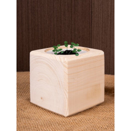 Набор для выращивания «Экокуб», мелисса