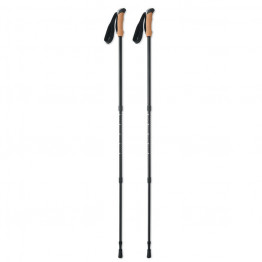 Палки для ходьбы